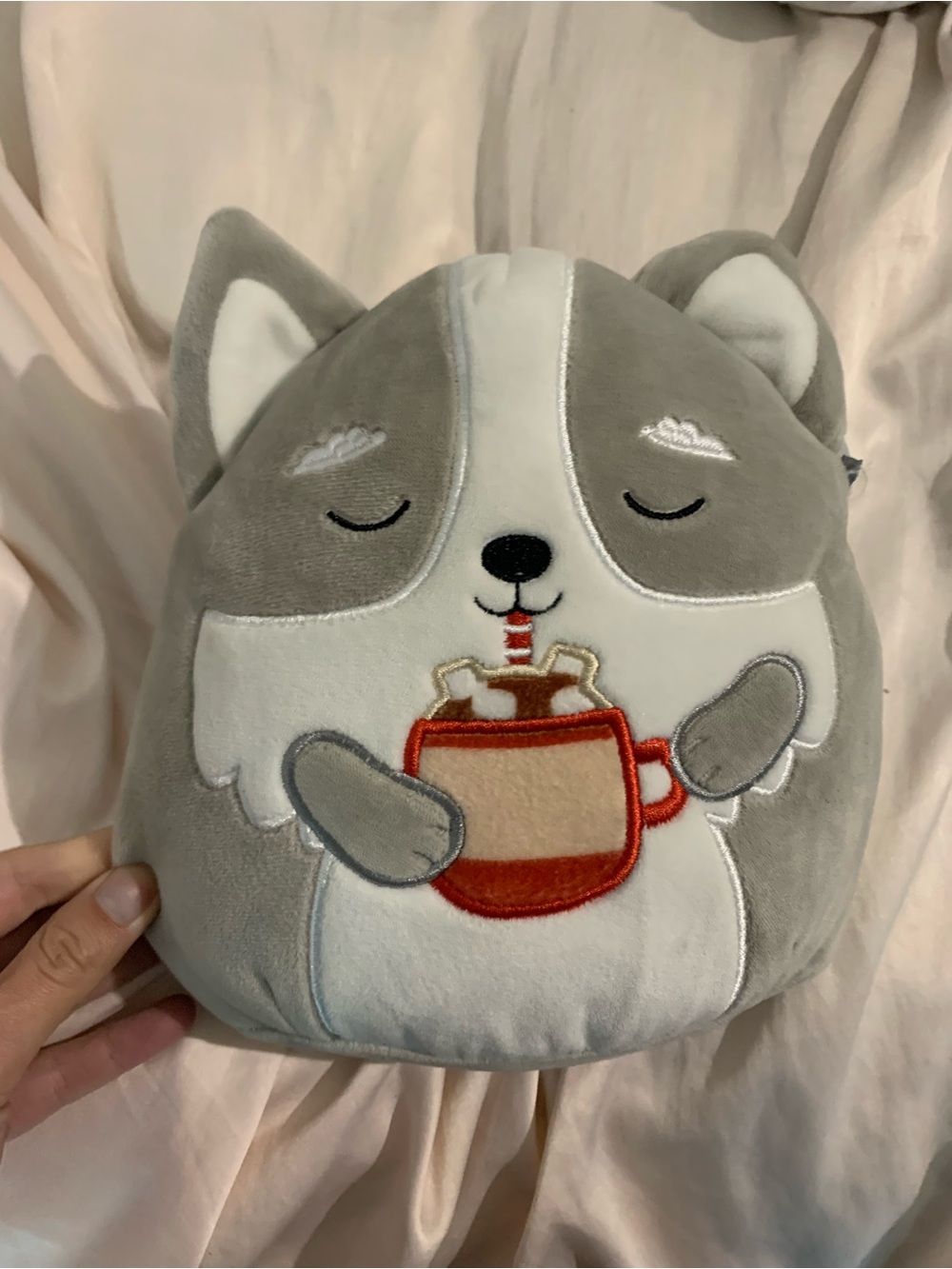 Squishmallow Casmir
